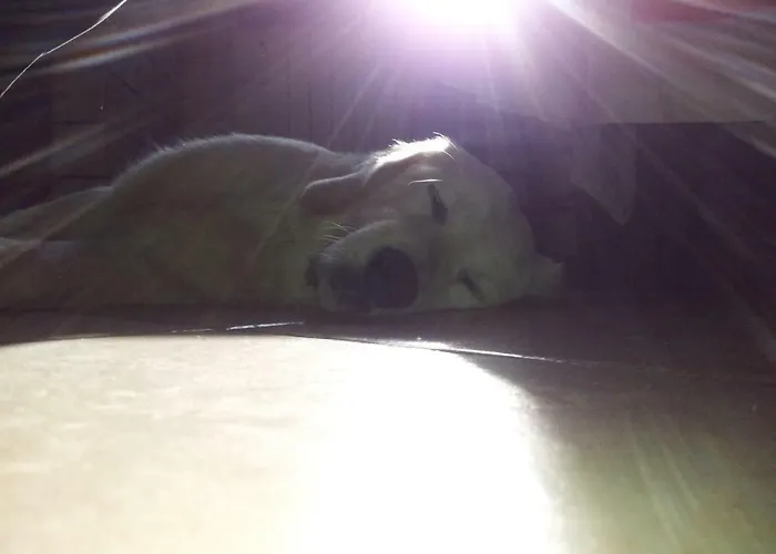 Alloggio per agriturismo Azienda Agrituristica Giuliana *